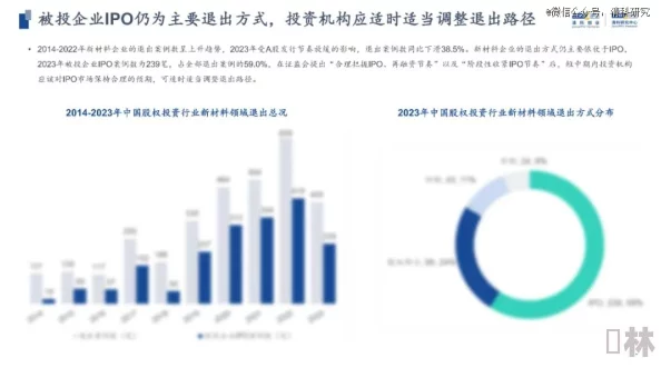 十大黄台禁用的破解方法：2024年最新技术与趋势分析，助你了解网络安全新挑战