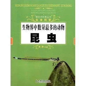 女人荫蒂毛森林：探索隐秘生物多样性与生态系统的重要性及其对环境保护的影响