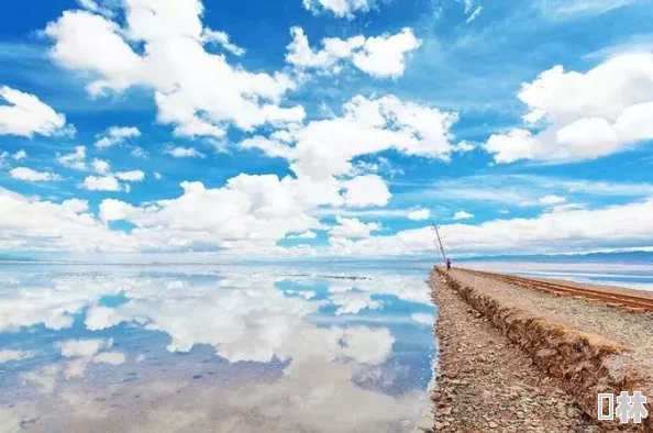 淑荣二次上船开到湖中间去，讲述了她在湖面上的冒险经历，以及与自然亲密接触的感受和思考