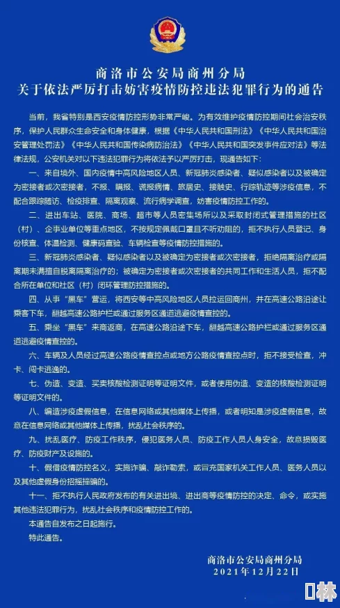 缅北黑网：跨国犯罪网络的最新进展与打击行动分析，揭示其对地区安全的影响与挑战