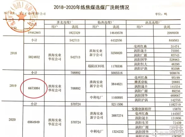 麻豆传煤入口麻：重大政策调整引发行业震动，专家预测未来市场格局将发生根本性变化！