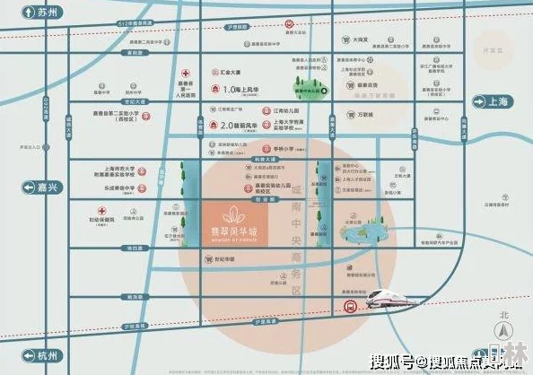 海角社区国产精伦：分析其在地方经济发展中的作用与影响及未来发展趋势研究