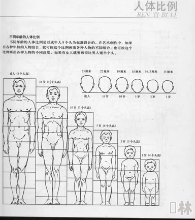 震惊！17c180 cm 身体比例的奥秘揭示，让科学家们彻底改写对人类身高的认知！