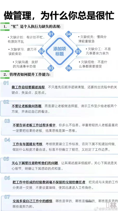 办公室规则v3.1汉化版：提升职场效率与团队协作的实用指南，助力现代企业管理新模式