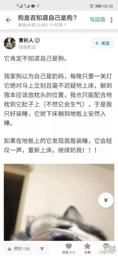 天天综合网网欲色：震撼曝出惊人真相，网友热议这一切背后的黑幕与内幕，引发广泛关注与讨论！