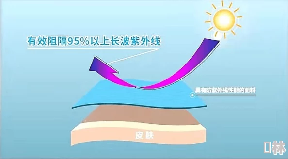 欧美全免费aaaaaa特黄在线：最新动态揭示了更多精彩内容与用户体验的提升，值得一看！