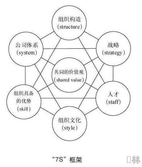 bbbbbxxxxx：在全球经济波动中，如何有效应对市场变化与挑战，提升企业竞争力和可持续发展能力？