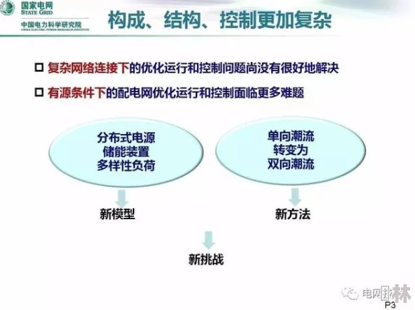 九九电网理论是怎么样的？探讨其基本原理、应用场景及对电力系统优化的影响和实践案例分析