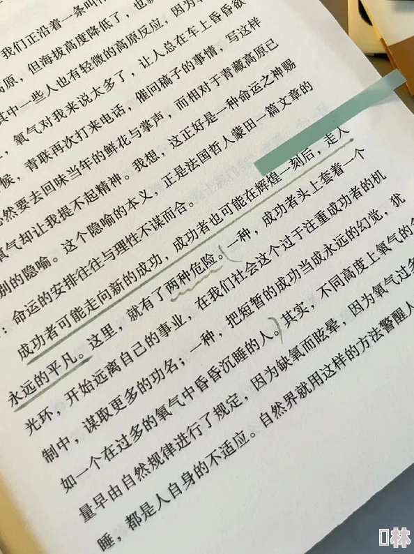 民儿初试风雨录的阅读感受：在成长与挑战中领悟人生真谛，感受文字的力量与情感的共鸣