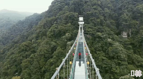 九霄琉璃手游：平民玩家首选角色策略与职业深度探索指南