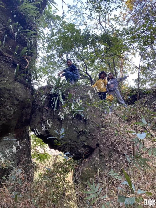 巨人黑科技破解版：全新功能上线，带你体验前所未有的游戏乐趣与无限可能！