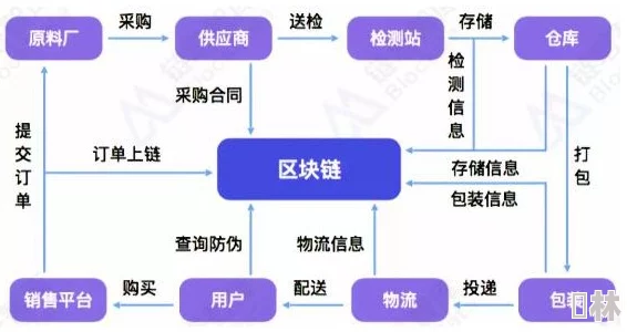 应对全球边界安全挑战：创新策略与国际合作以捍卫世界版图完整性解决方案