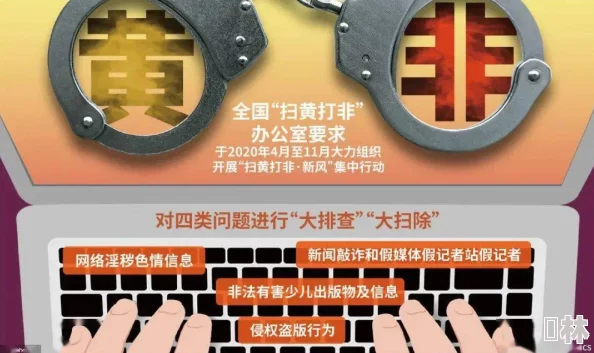 清风阁黄色网站被查封，数百名用户信息泄露引发社会关注与讨论！