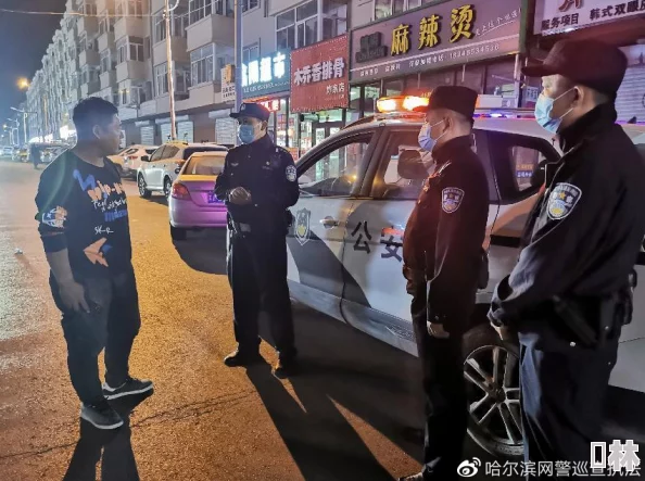 东北某地乱人心惶惶，社会治安问题引发广泛关注与讨论，亟需有效治理措施应对挑战