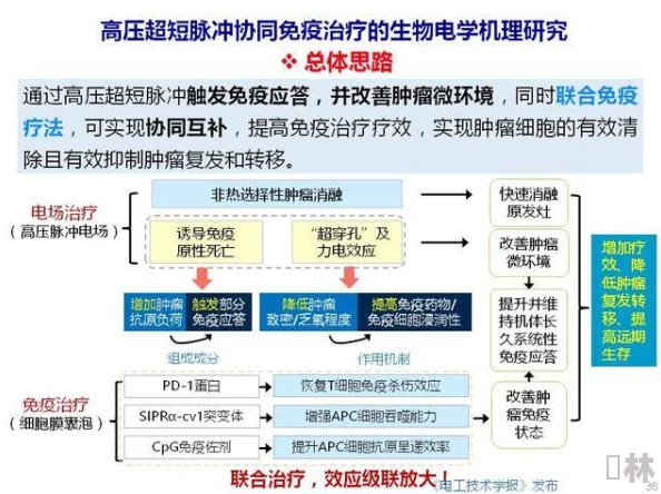 cf残端在肿瘤微环境中的作用及其对免疫治疗的影响研究综述