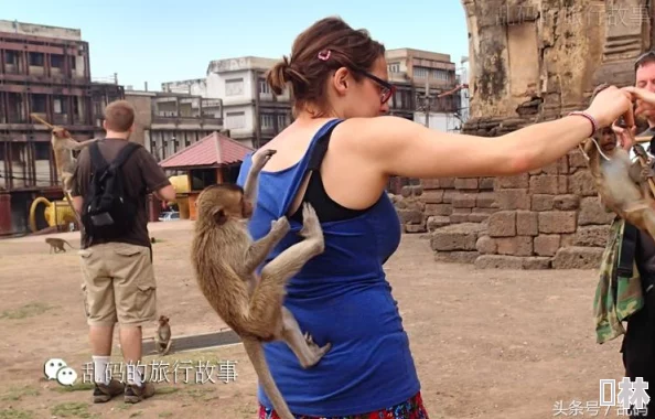 两个人生猴子的场景：探讨人与动物之间的关系及其对人类社会的启示与反思