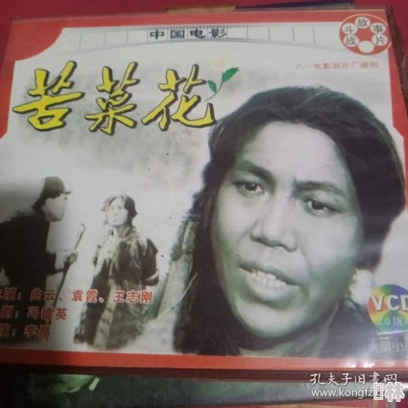 视频一区二区三区自拍苦菜花2004