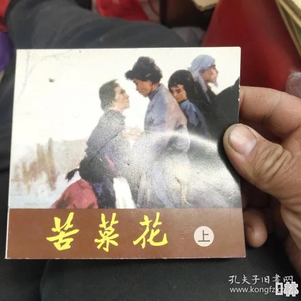 视频一区二区三区自拍苦菜花2004