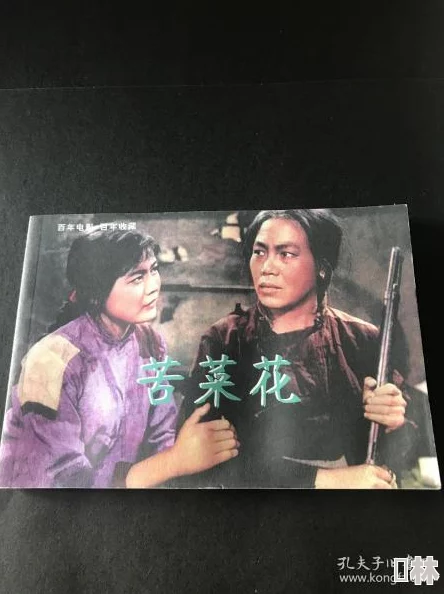 视频一区二区三区自拍苦菜花2004